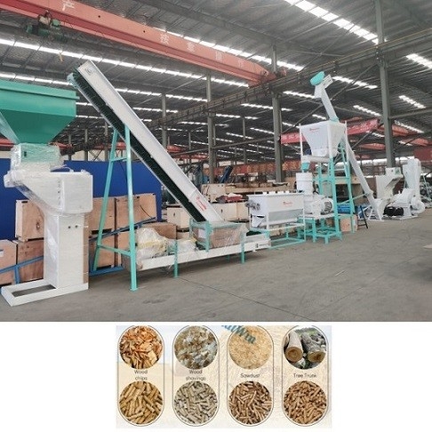 Линия Pelletizing биомассы с биомассой лепешки 2-10mm окончательной/деревянным технологическим оборудованием лепешки производственной линии лепешки
