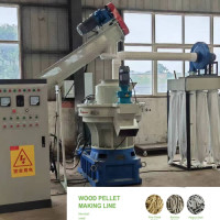 кольцо производственной линии 800-1000kg/H лепешки биомассы 55kw умирает производственная линия лепешки